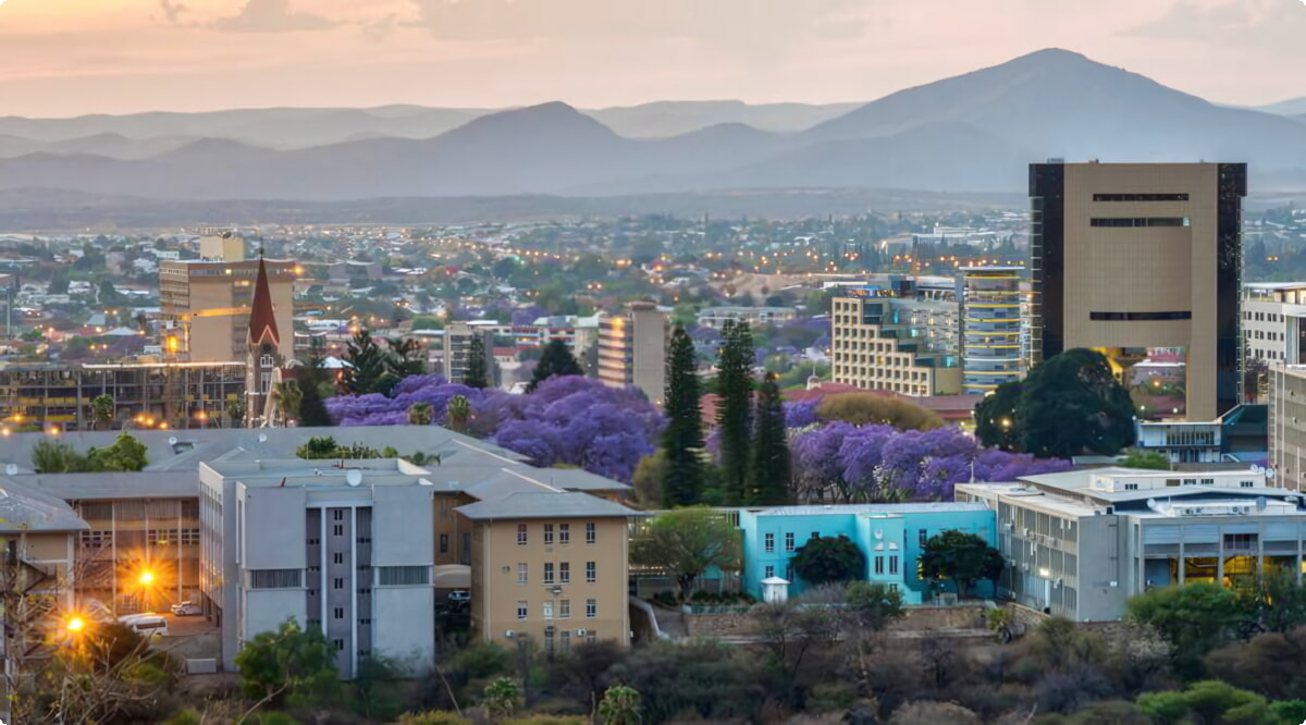 Il nostro inventario include una vasta gamma di veicoli.